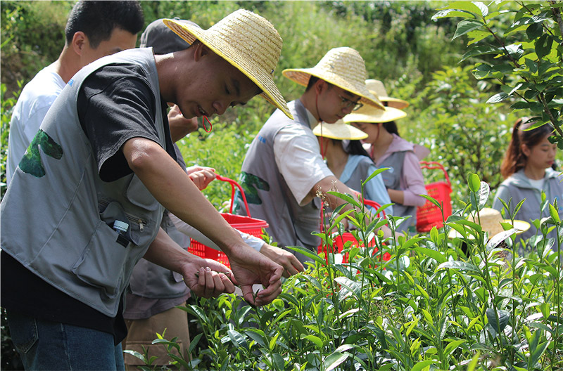 �V�|�����W(xu��)Ժ��(j��ng)��(j��)����W(xu��)Ժ���l(xi��ng)�����d��Ⱥ�S���ഺ��������(d��ng)�r(sh��)��ͻ���(du��)����_չ�l(xi��ng)��a(ch��n)�I(y��)�������