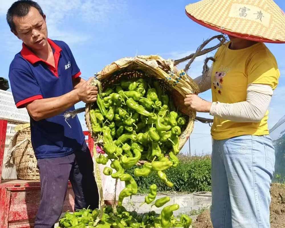 ���������ի@���߲ˈ@����Ȥ��