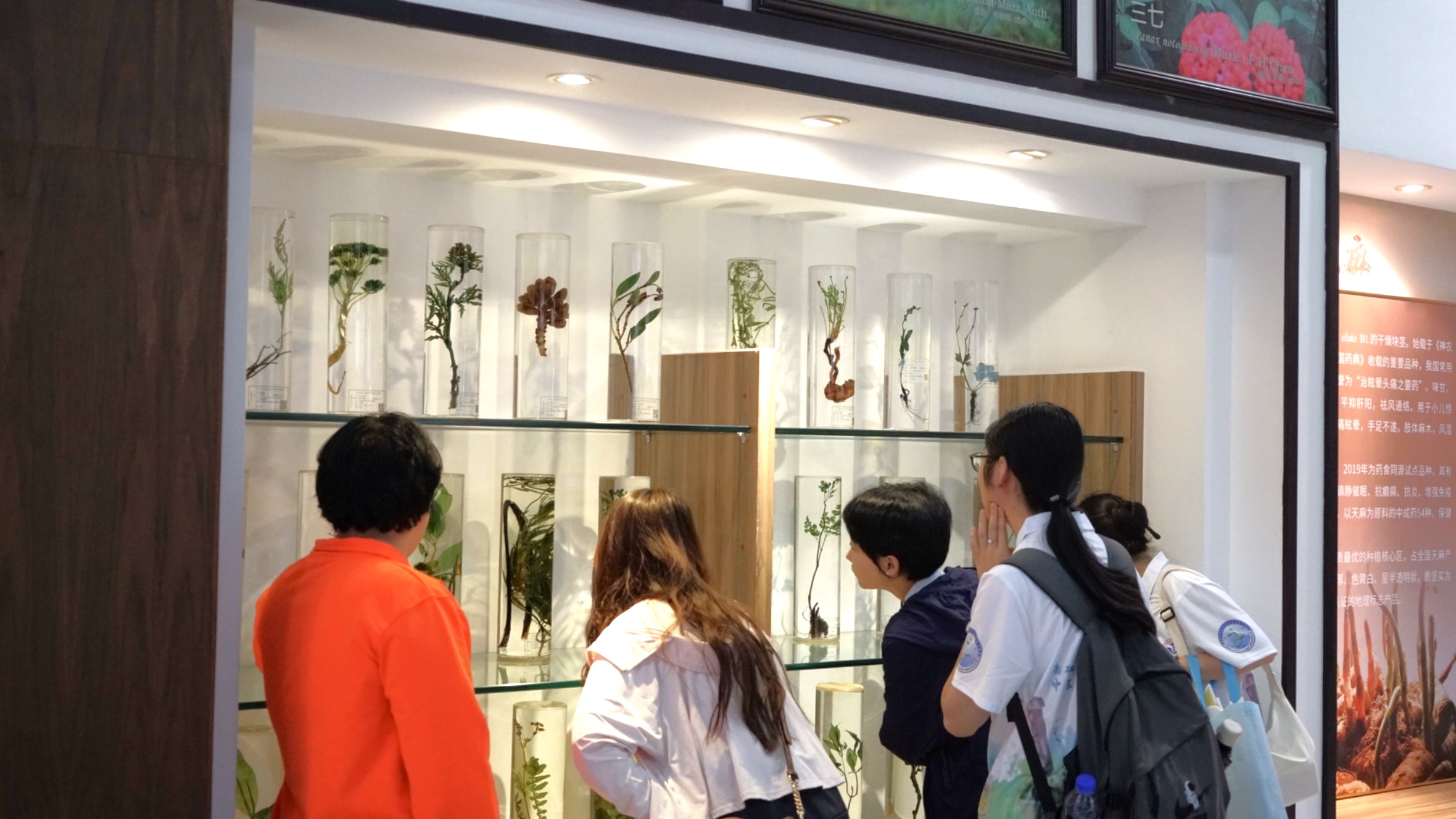 ���Ќ��\���f�������½�������֪�����A�ƻ��A�W�Ӹ��������tˎ��W