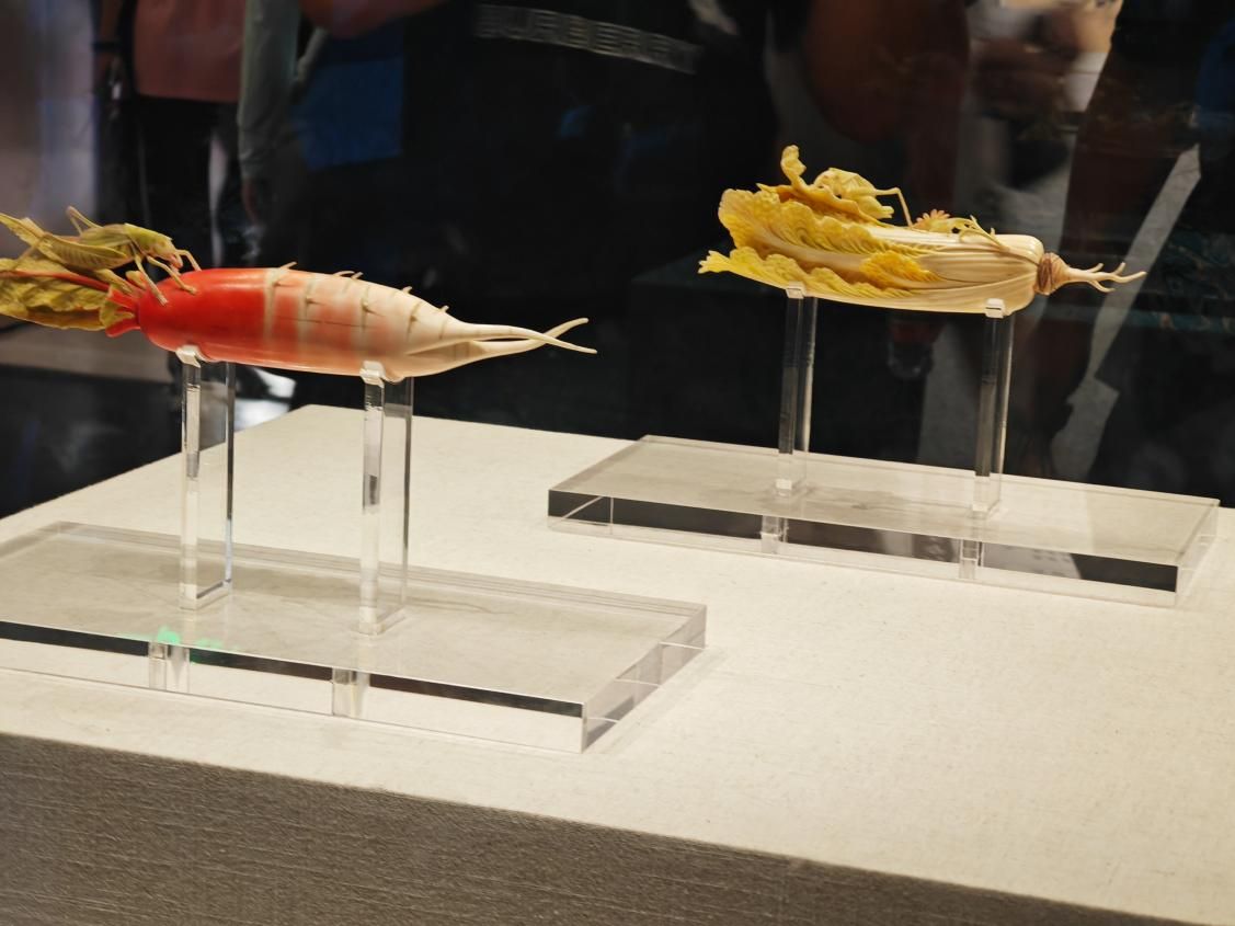 �m�ݴ�W�W�Ӹ����ϲ���Ժ�_չ������̽�أ����ϲ���Ժ֮�á�������������`���