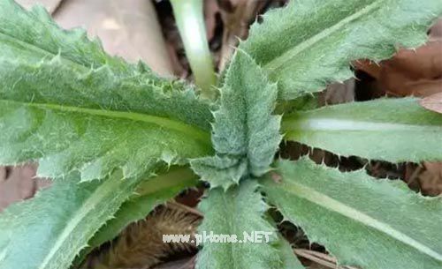 ���fС�������