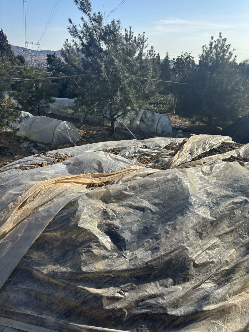 ��һ�~�衱�̽�����վG���°lչ