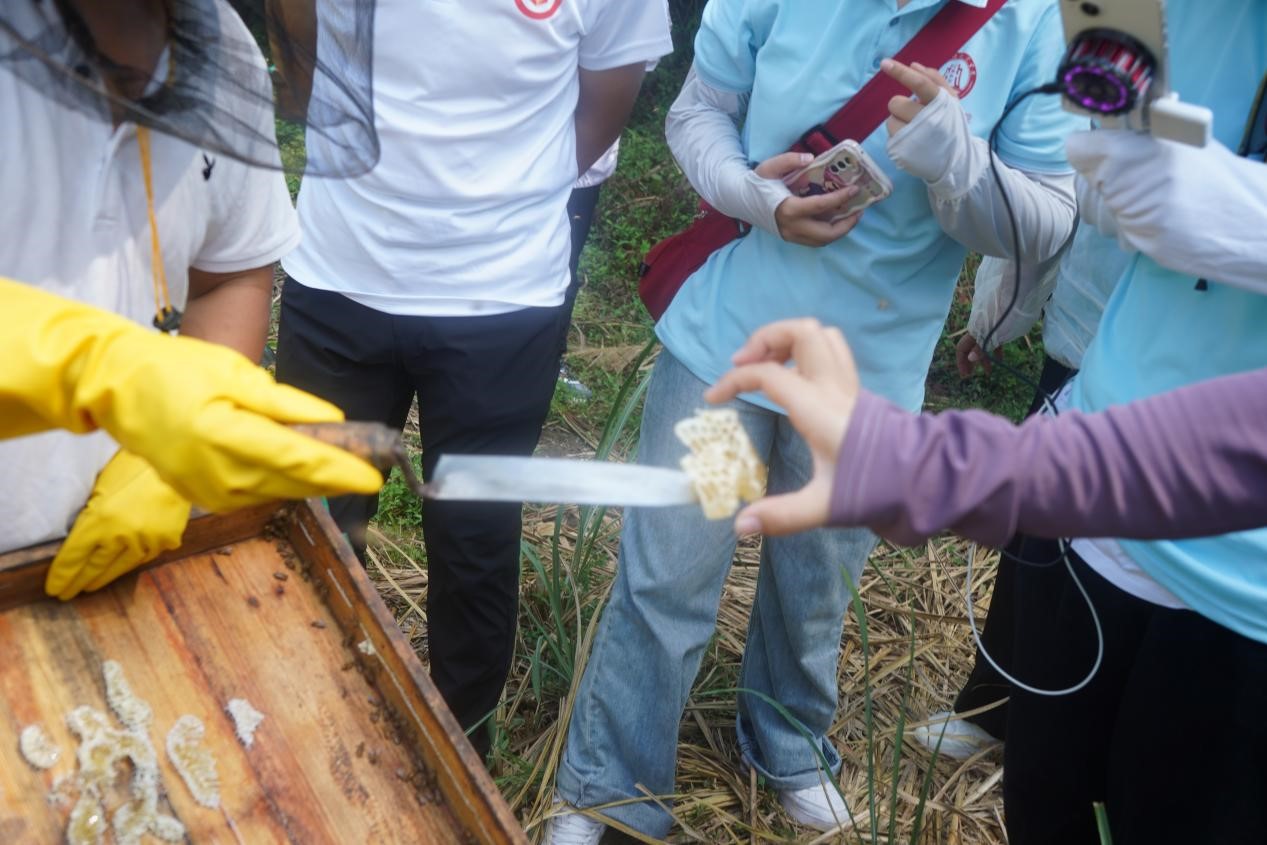 ����ؔ���I�WԺ��ֱ�������l�����d���۷��Bֳ֪�R�ռ�