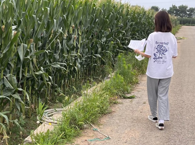 ���o���ؼt��,���N������������