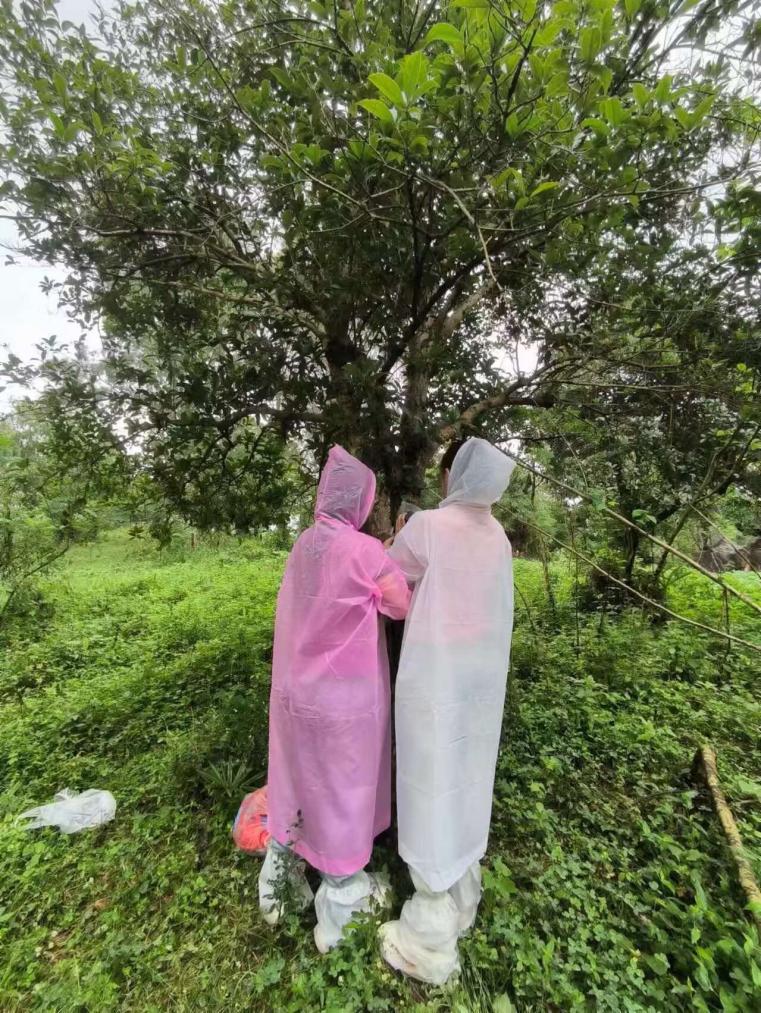 �����r(n��ng)�ֿƼ���W(xu��)�YԴ�h(hu��n)���W(xu��)Ժ���h���_չ�B������{(di��o)��