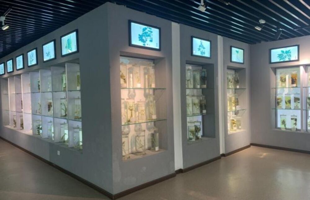 �����M�A����ԭ �_�����t(y��)֮�á��Ͼ����t(y��)ˎ��Wн�����`�F��