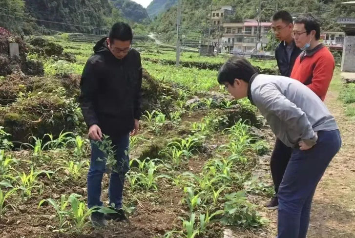 �����V������(w��)�l(xi��ng)���ҵ�����֮��