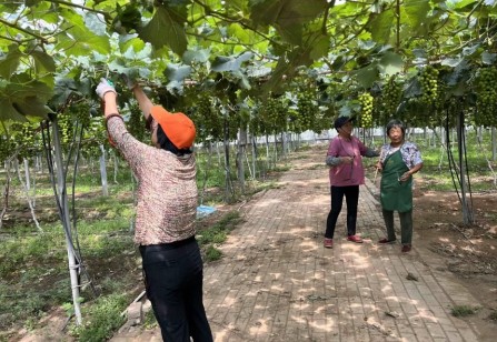 �{���еĸ����ֹ��������r�е��l�����d