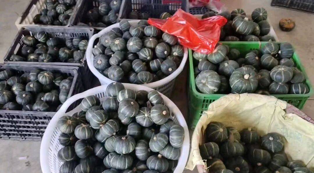 ���L��ꖬF���r�Iʾ���@��̽���r�I���º��l�����d