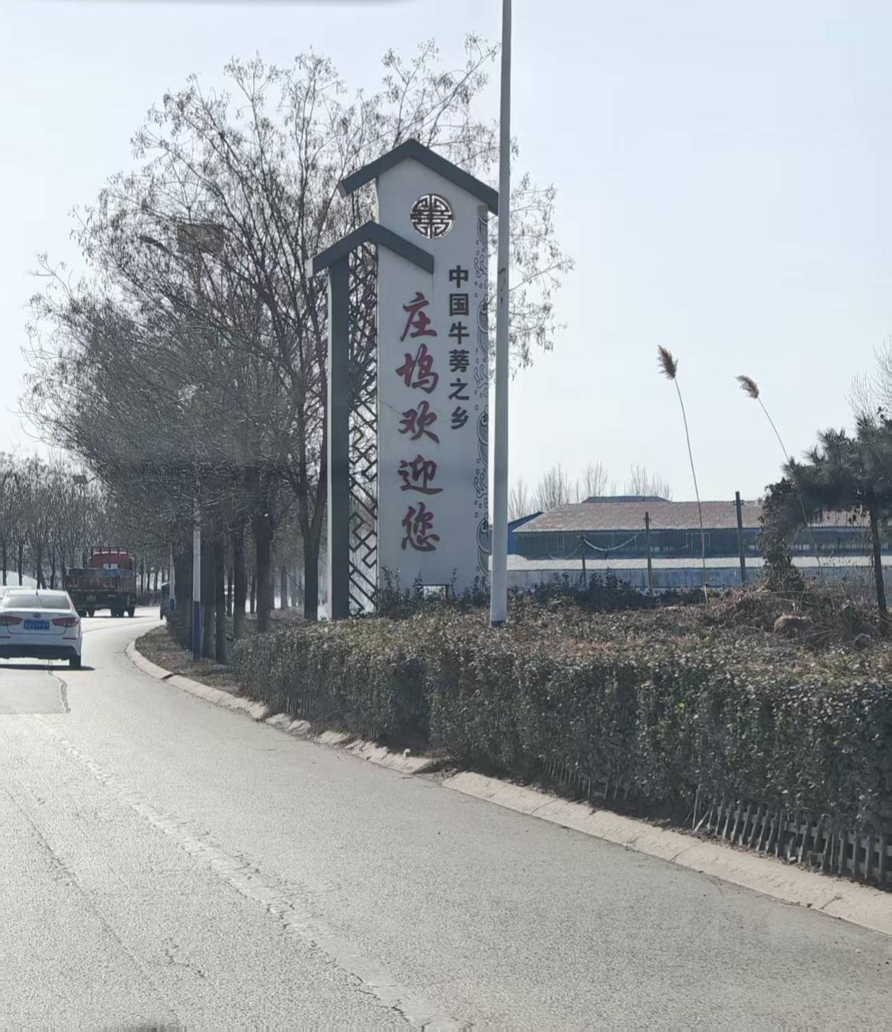 ɽ�|���t(y��)ˎ��W(xu��)���l(xi��ng)���R����ӣ�ţ�����d�{(di��o)���С������m���������{(di��o)�ЈF(tu��n)