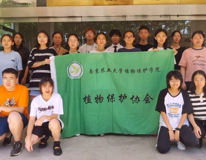 Ԋ��(j��ng)ֲ����������������B(t��i)�����½��O(sh��)