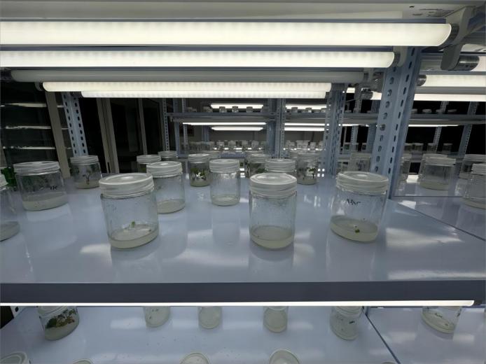 �ڌW(xu��)���r(n��ng)���Ƽ��d�r(n��ng)�������r(n��ng)�W(xu��)�Ӕy���������^�������C��ԇ�(y��n)վ