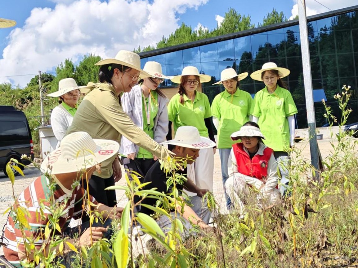 �ژI���g���W�x�����`���е����¡���ɽ�n�ӿƼ�СԺ���`����ϡ������l���o��