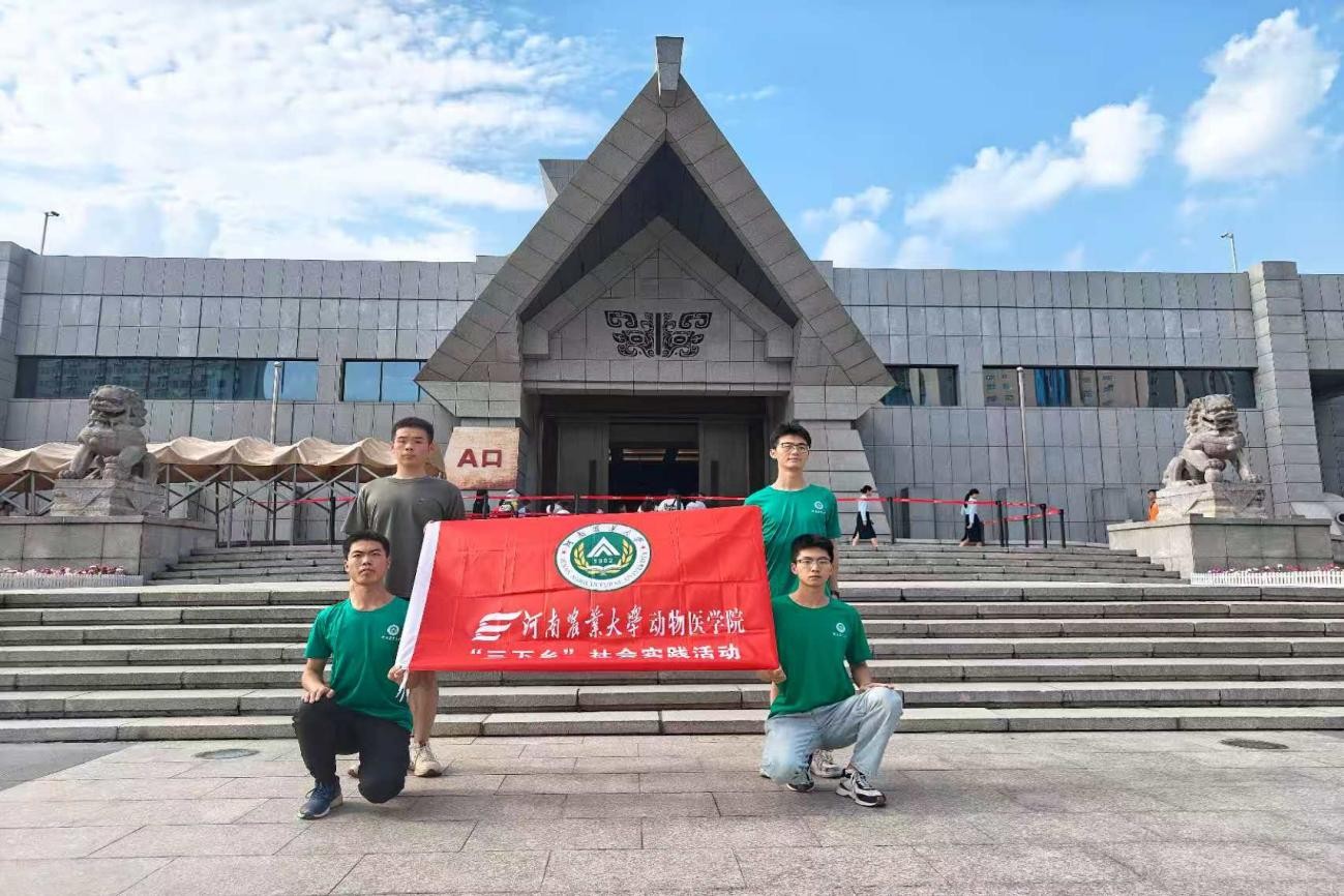 ���}��ԭ̽�������ഺ������н��