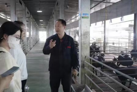 ؔ����(sh��)�`����Fɽ��ֱ�������a(ch��n)�I(y��)���d