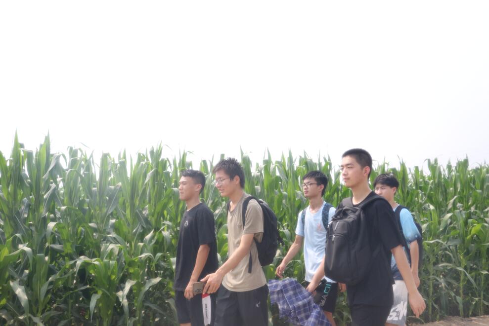 �L����W���ӱ����ء��H�R�r���߲˻��أ��W���Gɫ�r�I�ɹ���