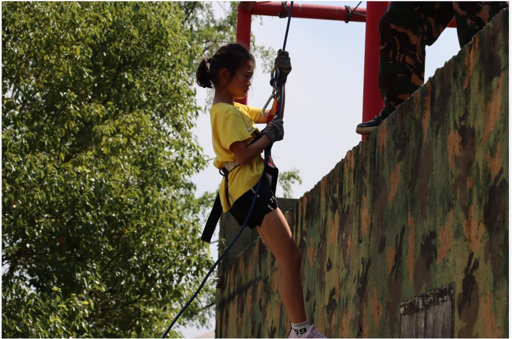 �����У�Ը�l�d���������L��С�W֧��֮��