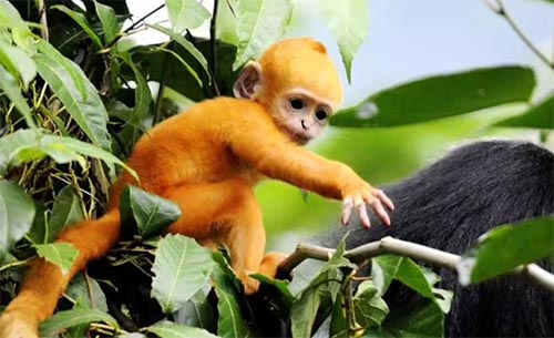 �~���c��H