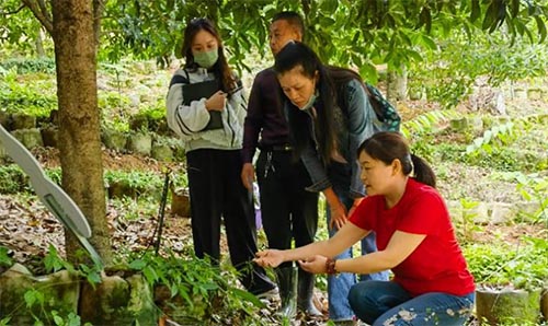 �Ƽ����ɆT�����F(tu��n)�����~��Nֲ�����{(di��o)��