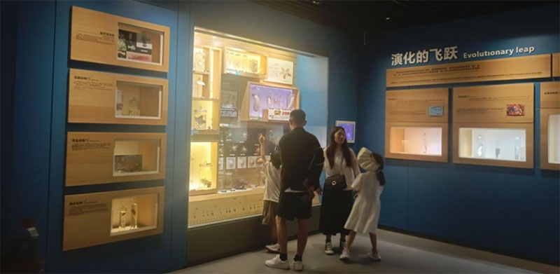 ���uˮ���^���ڌ�(sh��)�`�{(di��o)�У��ĺ�������߽��{(l��n)ɫ�Ї�(gu��)