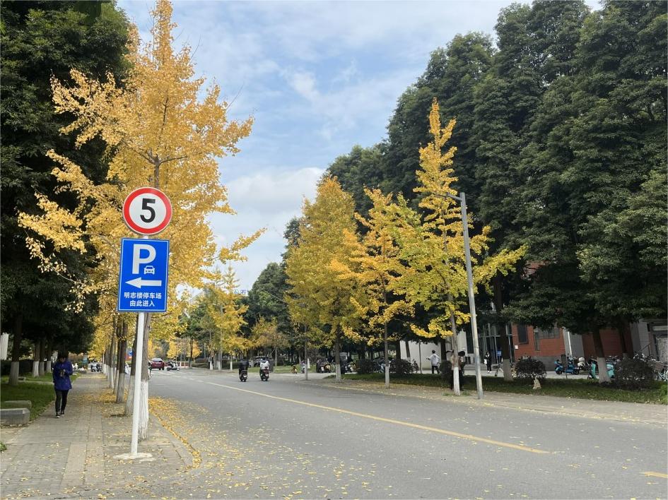 ���Ռ���������ʯ�ʹ�W����