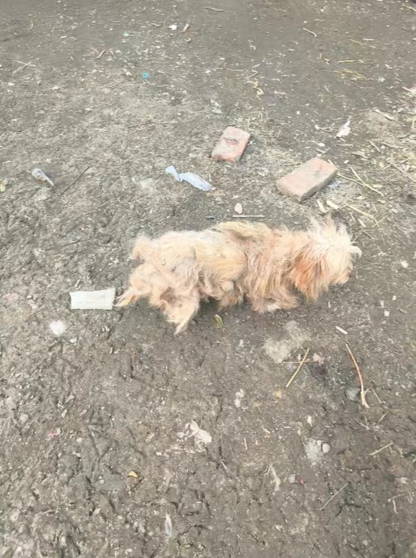 ��������ɫ�ʣ�׌�۲����ˡ������P�����ˌ���