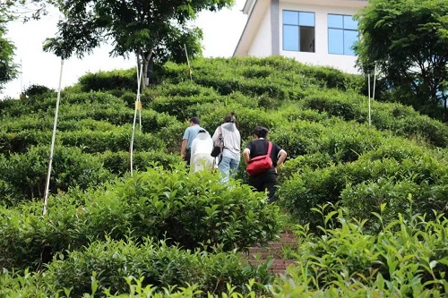 �����l�����d ����������I