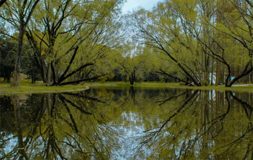 ���敳�ļt������