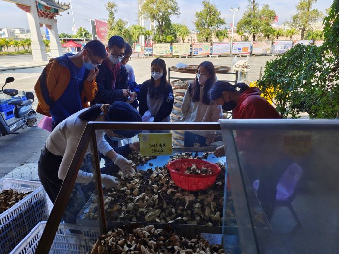 ����d��ڱ����ӥ@֮���չ�