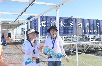 �����(y��ng)�С��^�m(x��)ǰ�У�ϲ�@�A���Գɹ�