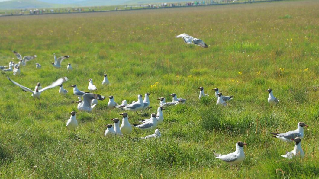 �����l�M�Еr | ���������w���ڻ����c��ԭҊ�C���B֮��