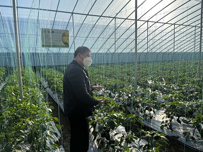 ̽���ЙC�r�I���a�N�� �����l��Gɫ�a�I���d