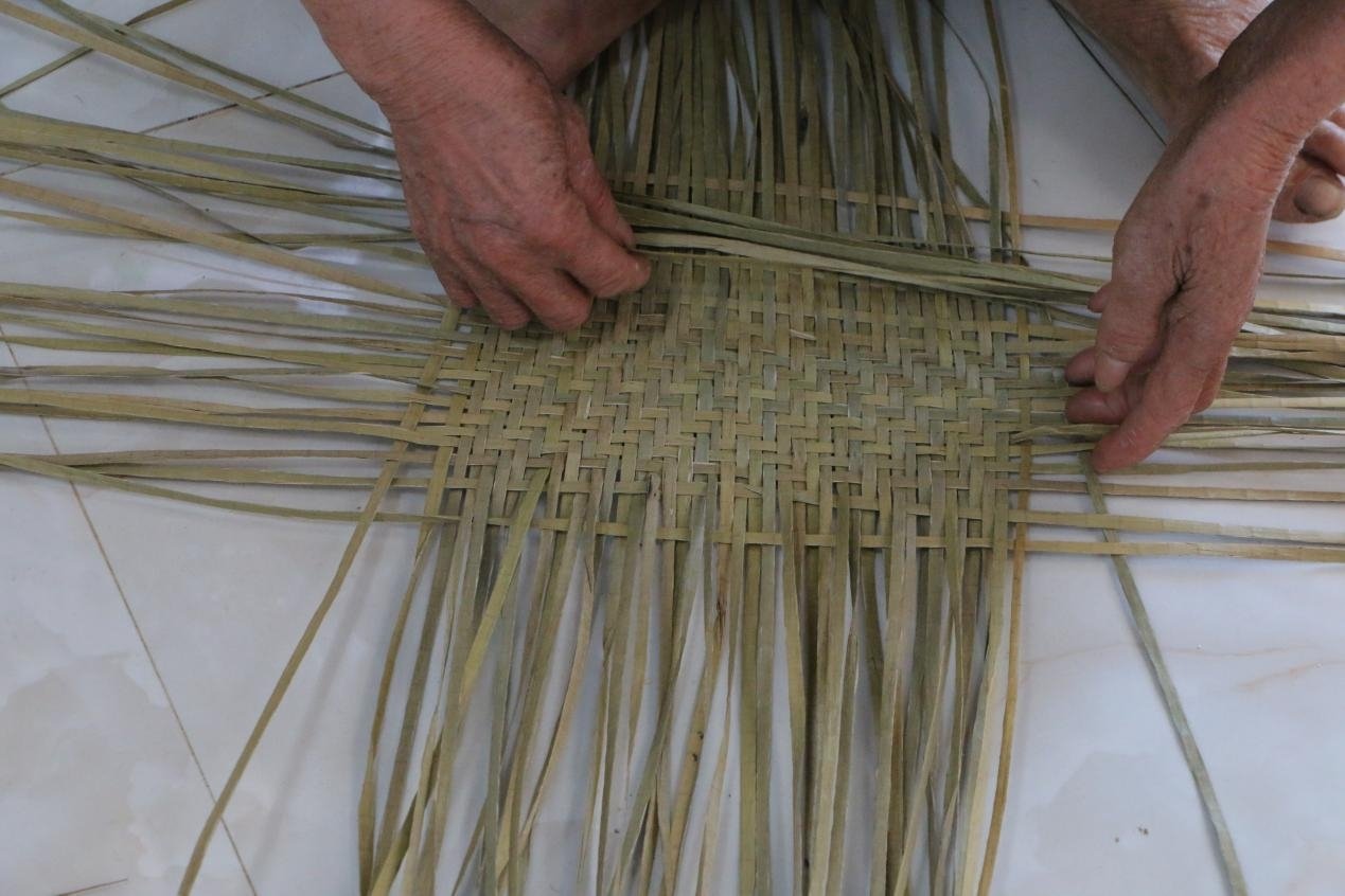 տ�ƌW(xu��)�ӡ������l(xi��ng)������(sh��)�`��n����ˇ��н