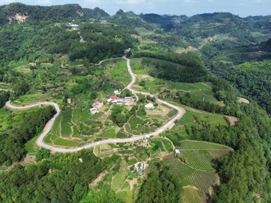 �ഺ����(m��ng)�l(xi��ng)��·�����՟������d;