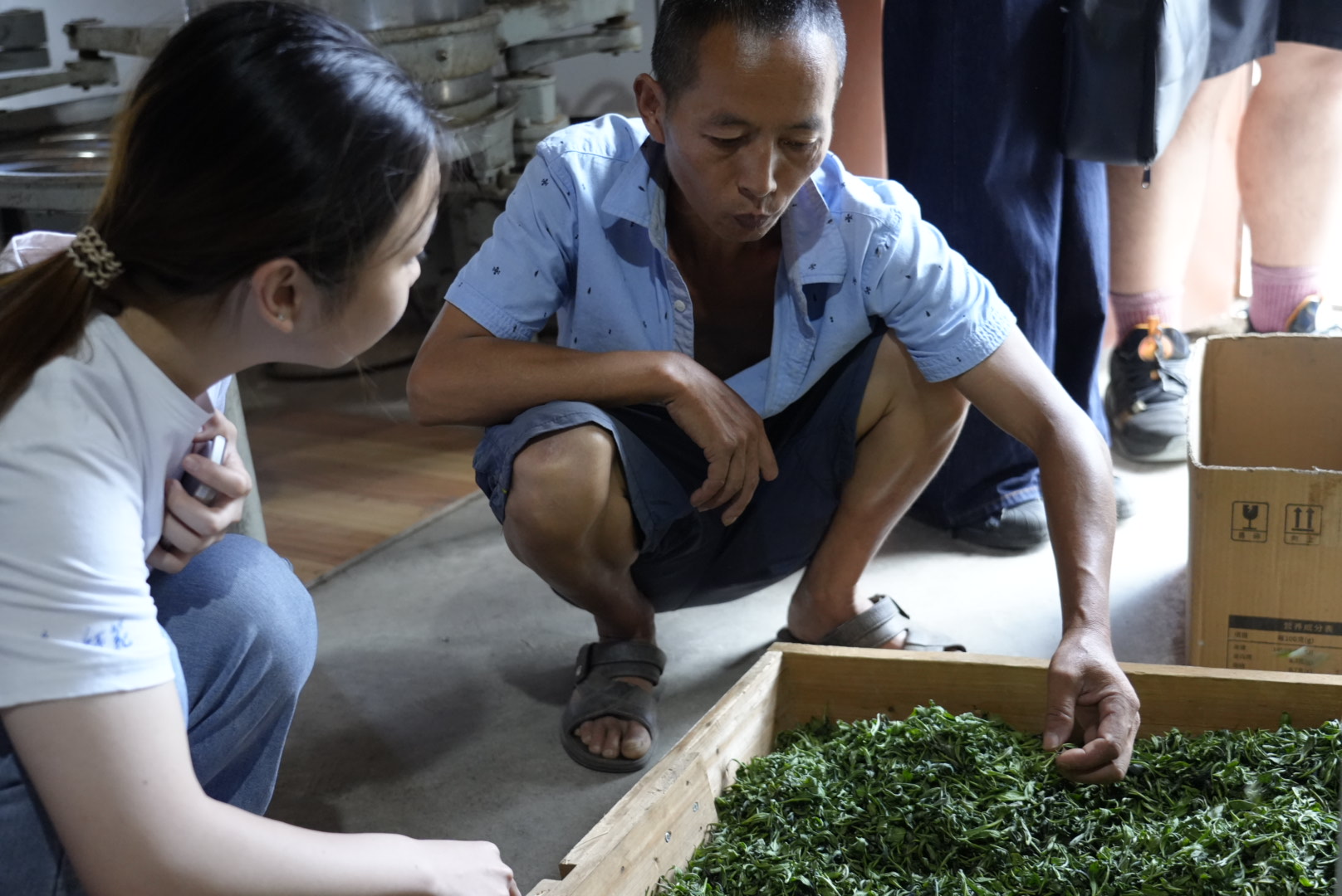 �����������l�����d�����r����̽����������������l���׃