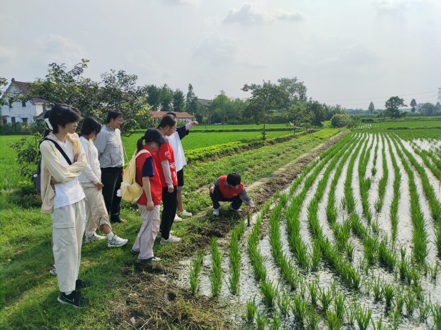 �Ͼ��r�I��W����������`�����������������L��ƪ�¡����޵����Ō��`�F