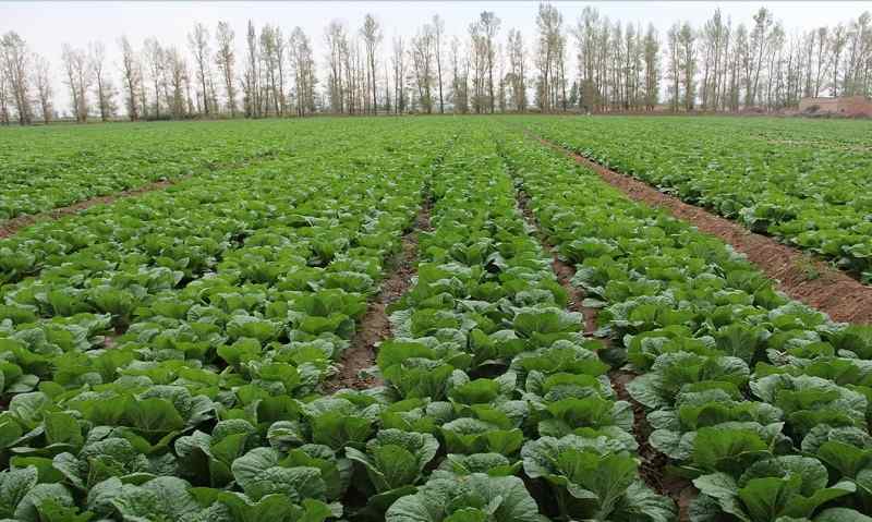  �l(xi��ng)�����d���B(t��i)���Ƴɹ����