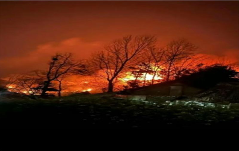 ��ğo��������----����У����ý�w���