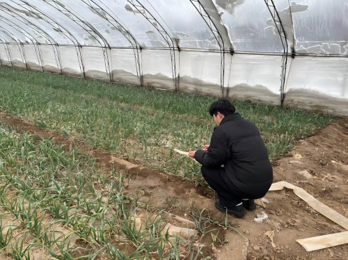 ���O(sh��)��ɫ�pƷ��������¸�����P