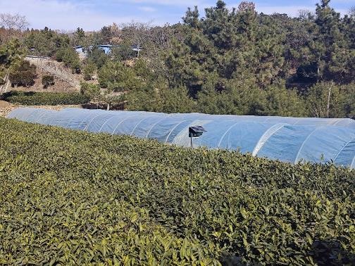 ������I���|��Ч������Ƽ����r����