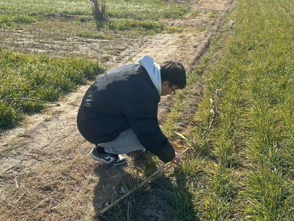 ̽���r�I�����x���l�����d