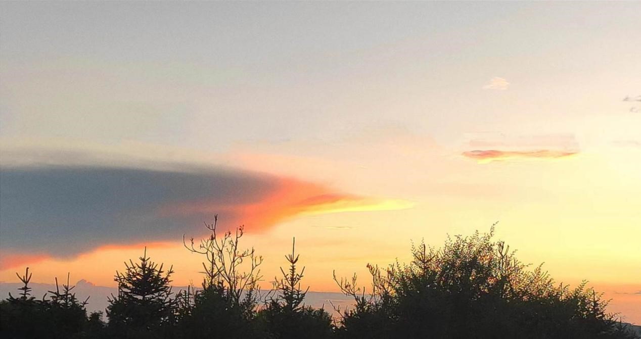 ֧����Ƭ֮����С���ġ�Ͷι��