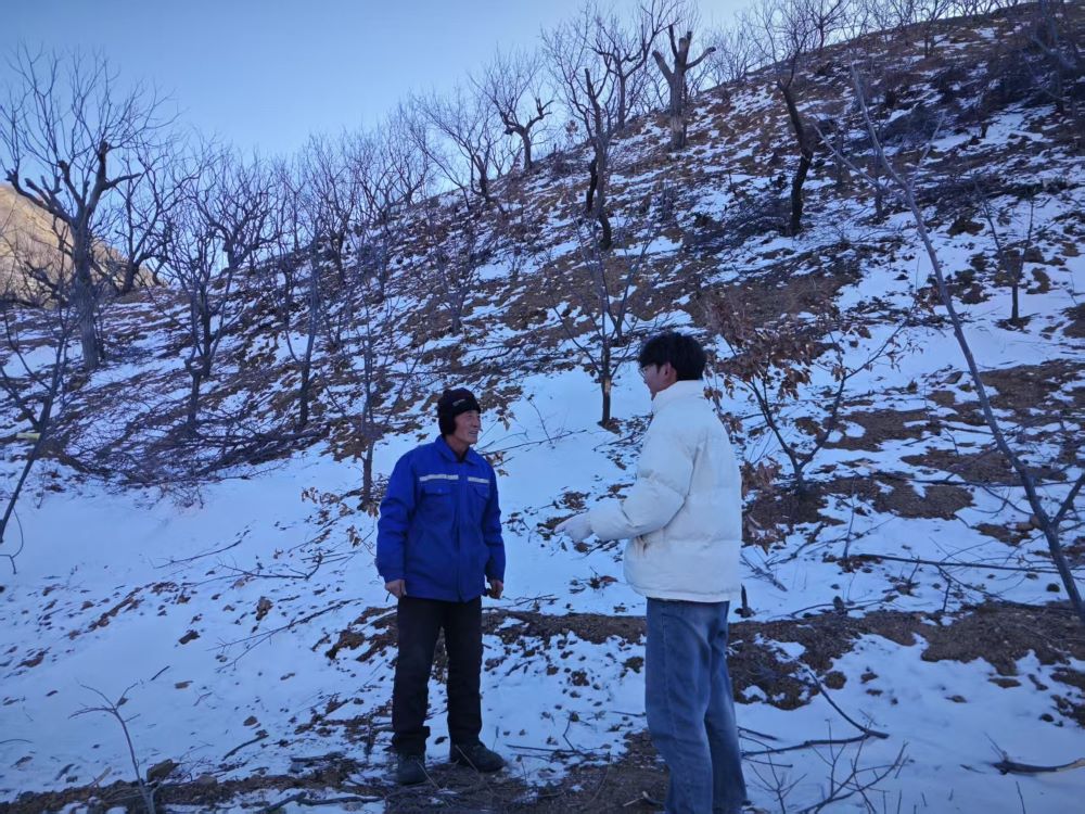 ��Ұ�ഺ-�ǻ��r(n��ng)�I(y��)�{(di��o)�нM�����r(n��ng)��(ch��ng)�_չ�������v���(d��ng)