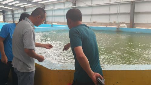 �~�@�M�}�ı����������l(xi��ng)�ļ��g(sh��)���ܴa������ľ��W ���ƌW�������l(xi��ng)�����d