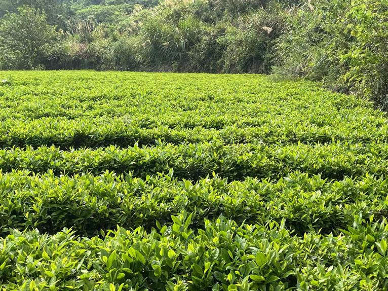 �L���r���ģ�Ʒ�������d��������Ϫ֪�С��l�����d���M�F���L��Ϫ��N����