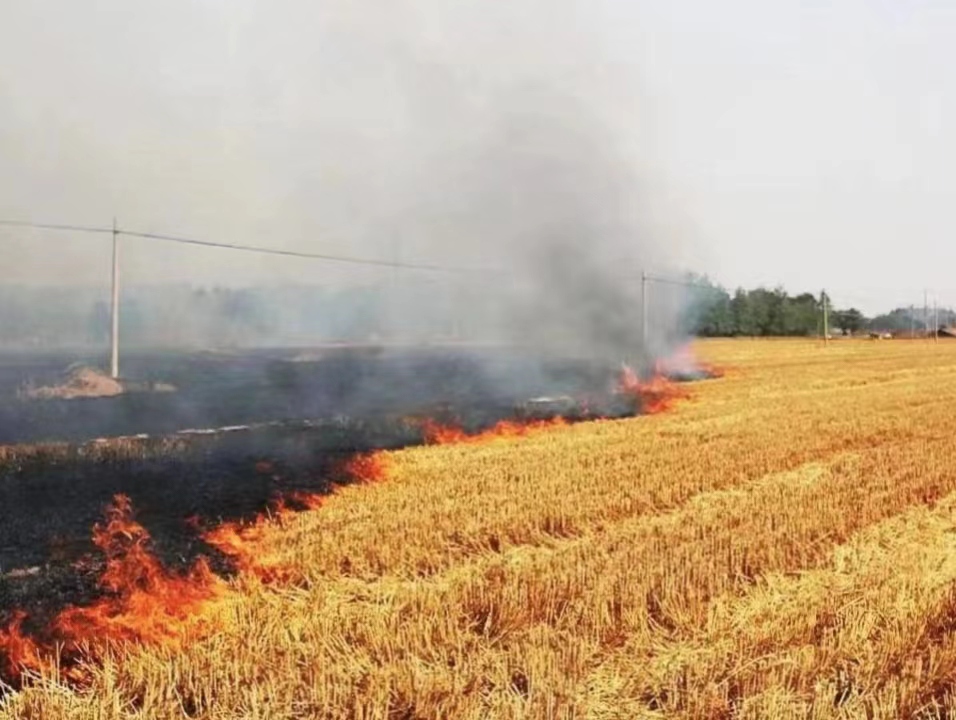 �Gɫ��·�����ǡ���С���ն��r�������