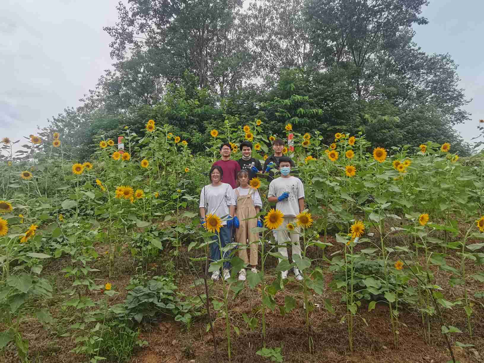 ��������ȫ���h�Gɫ�d�r���`