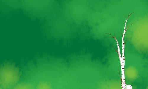 �K�Ӻʹ���