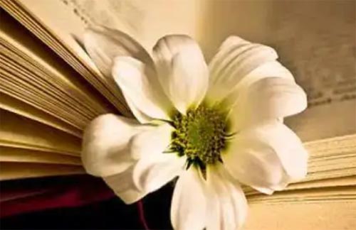 �����Ƿ��Ą�