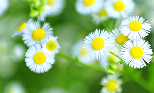 ����ω����˼��